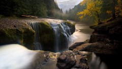 Ручей в лесу