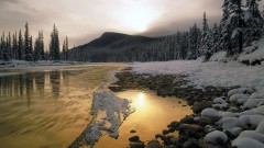 Весенняя река